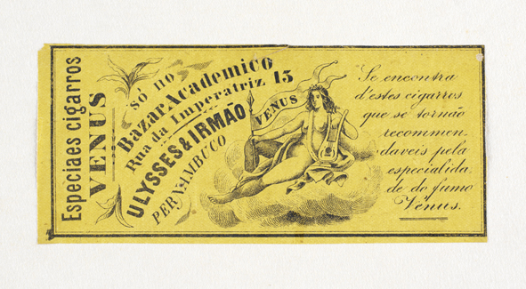 vizualizar o documento on line